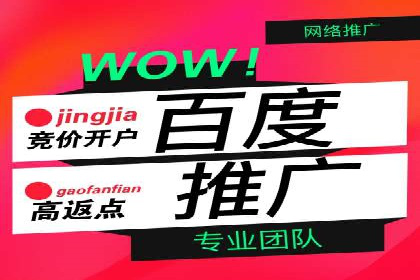 百度竞价SEM：成功案例解析与效果评估